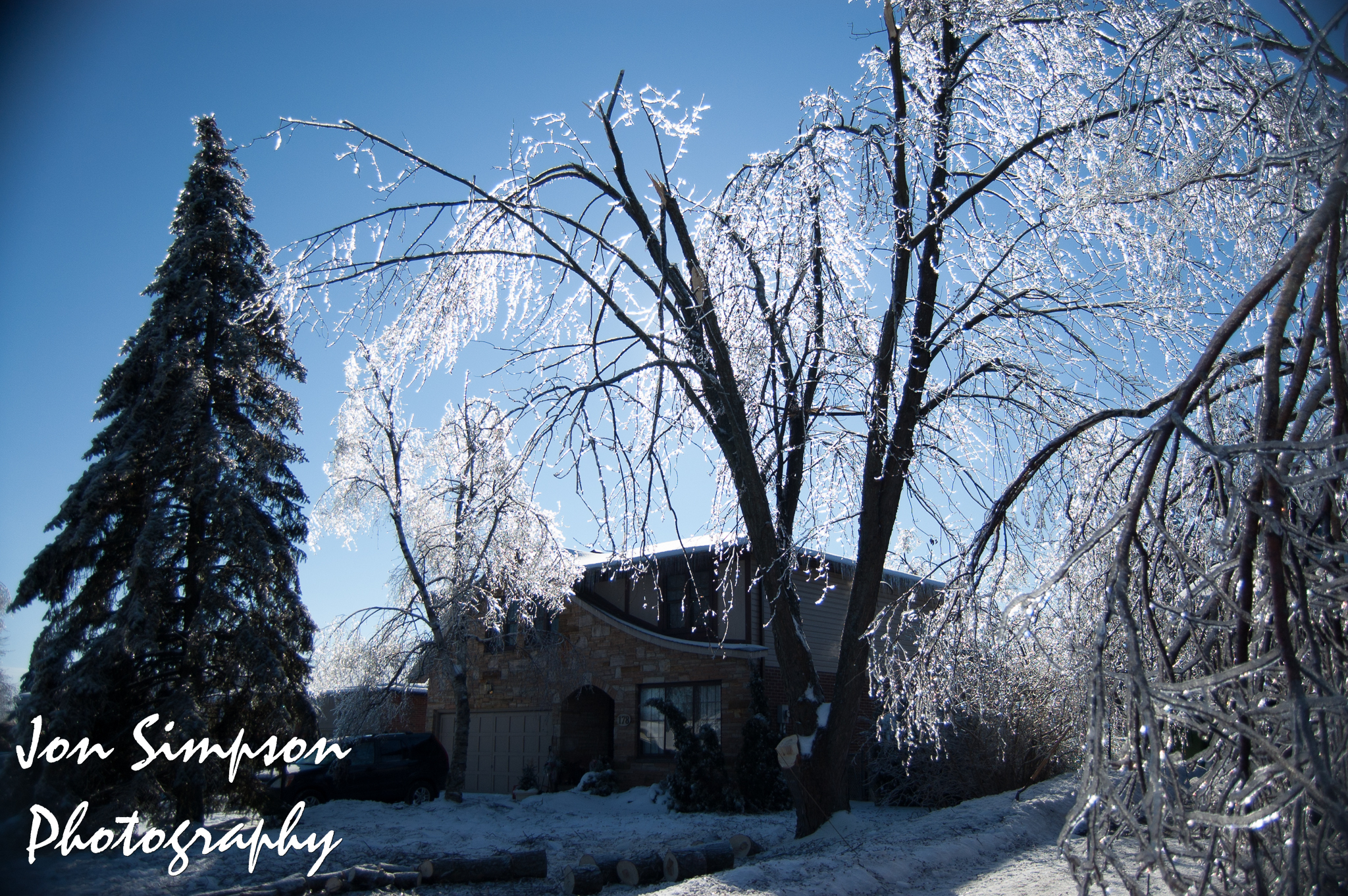 Ice Trees (14 of 15)